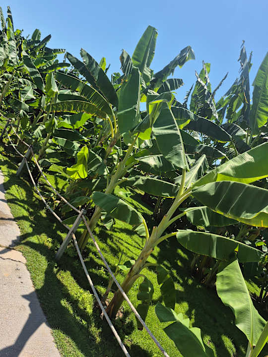 Strand VONRESORT Golden Beach