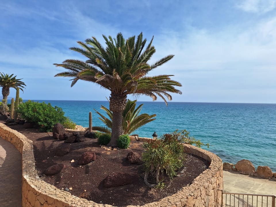 Ausblick R2 Pajara Beach