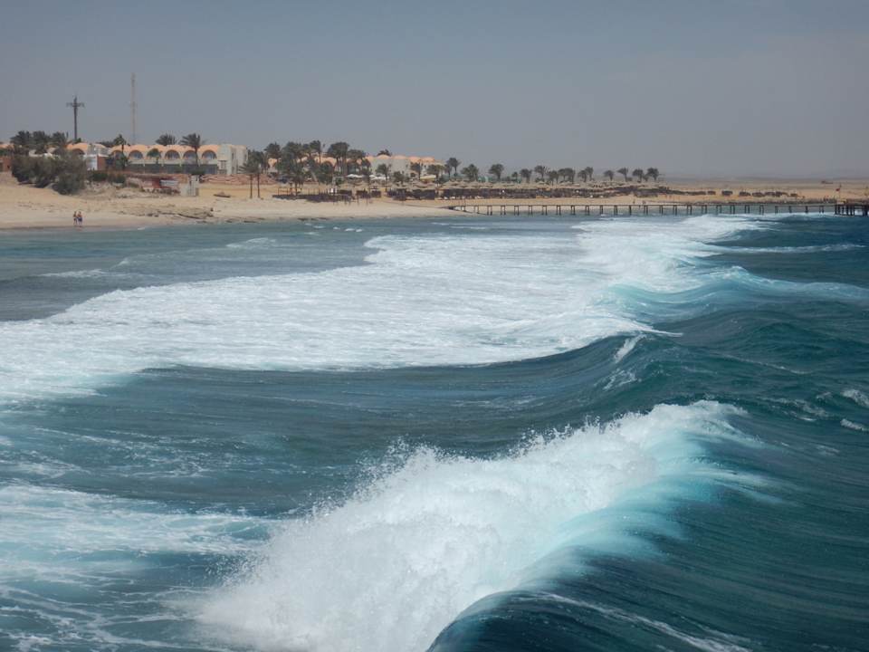 Strand Steigenberger Resort Alaya Marsa Alam - Red Sea - Adults only