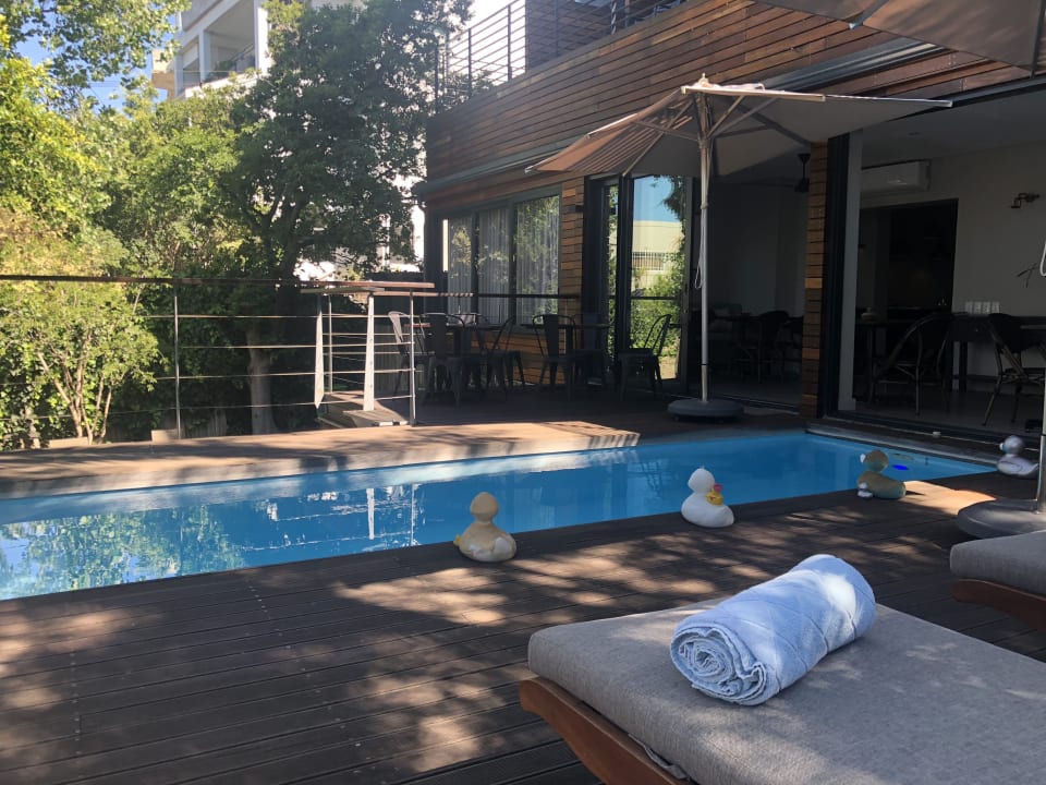Pool The Tree House Boutique Hotel