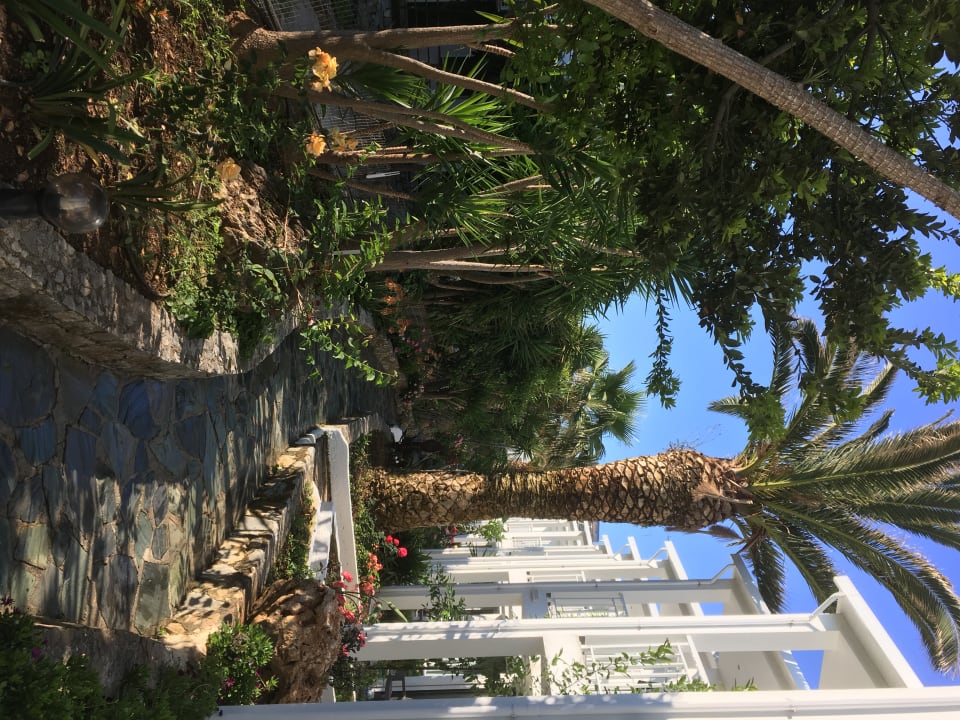 Außenansicht HARPIN Happy Days Beach Hotel