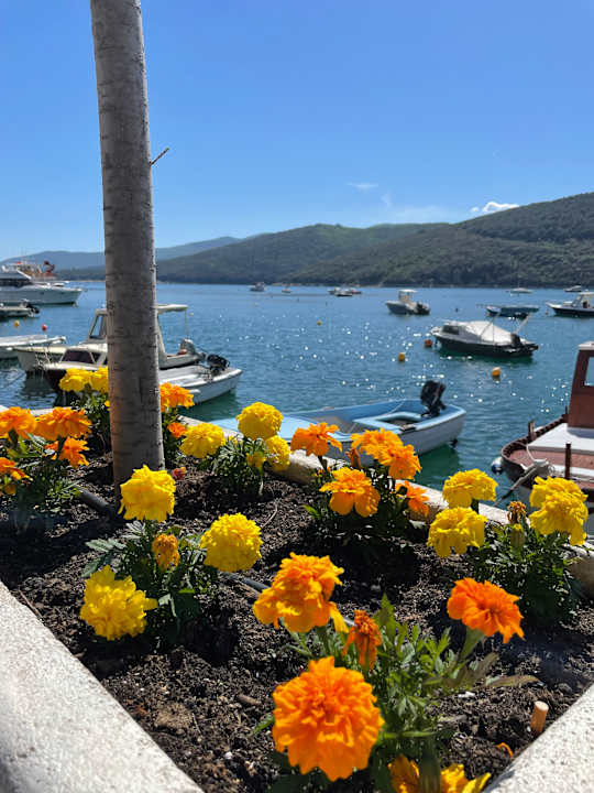 Ausblick Valamar Sanfior Hotel & Casa