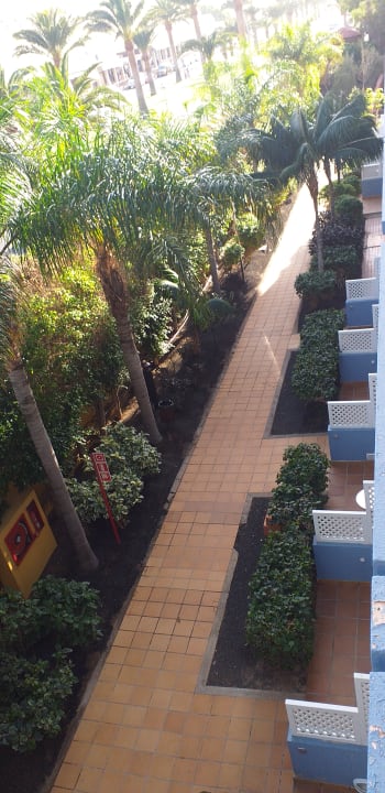 Ausblick IFA Altamarena by Lopesan Hotels
