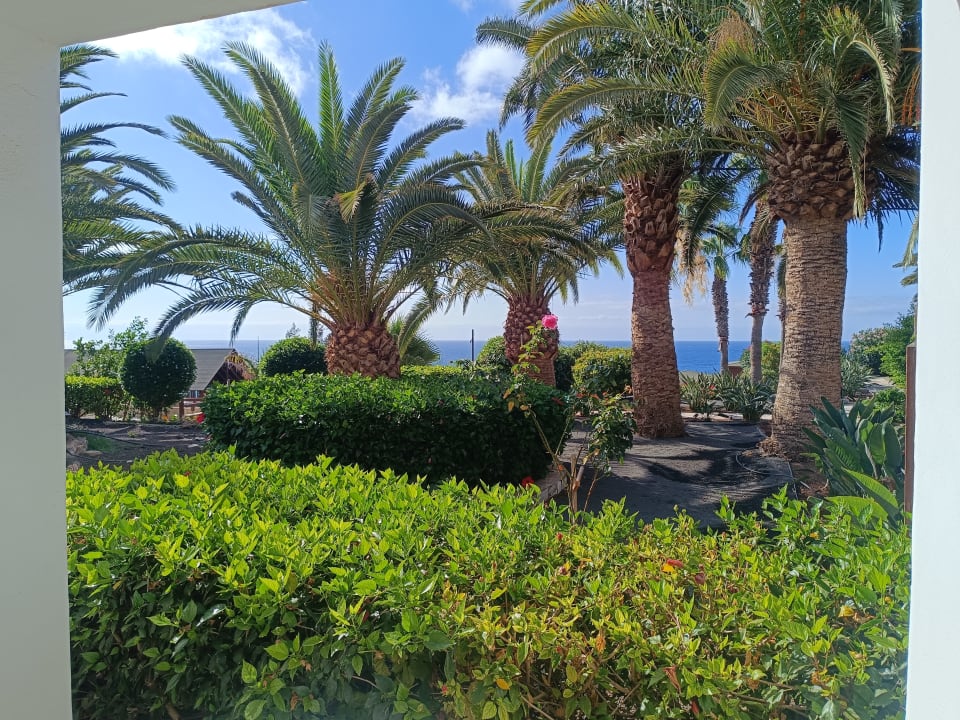 Gartenanlage Marina Playa Suite Hotel