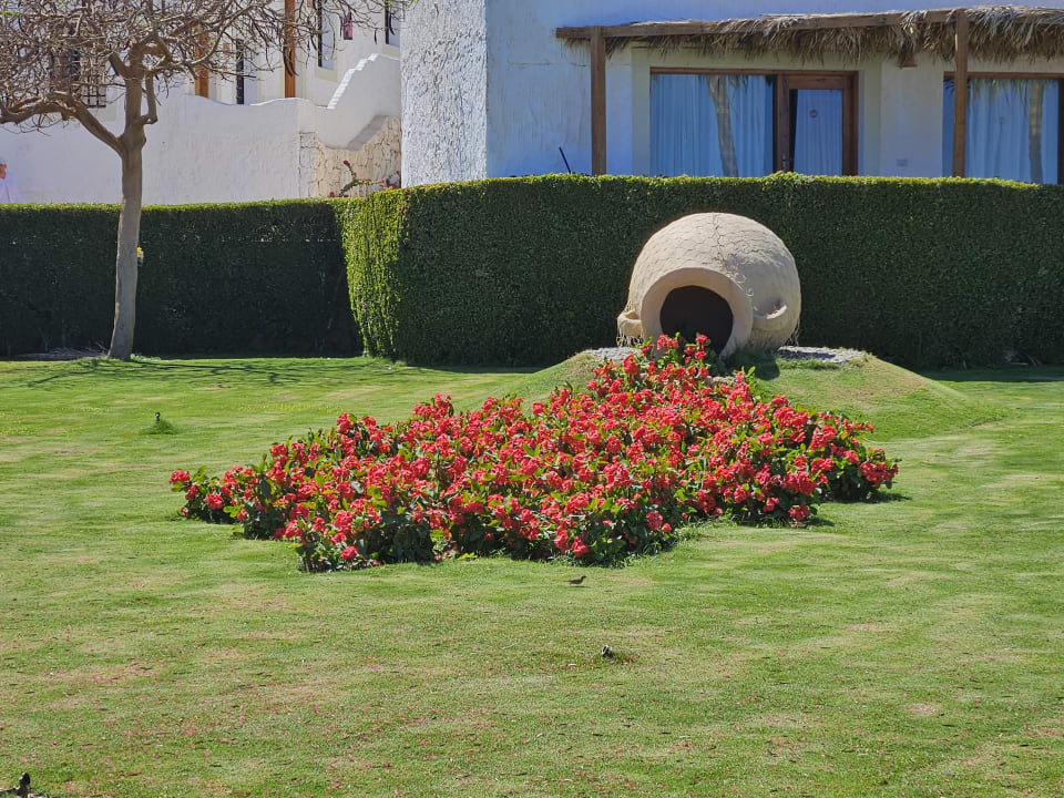 Gartenanlage Sharm Club Beach Resort