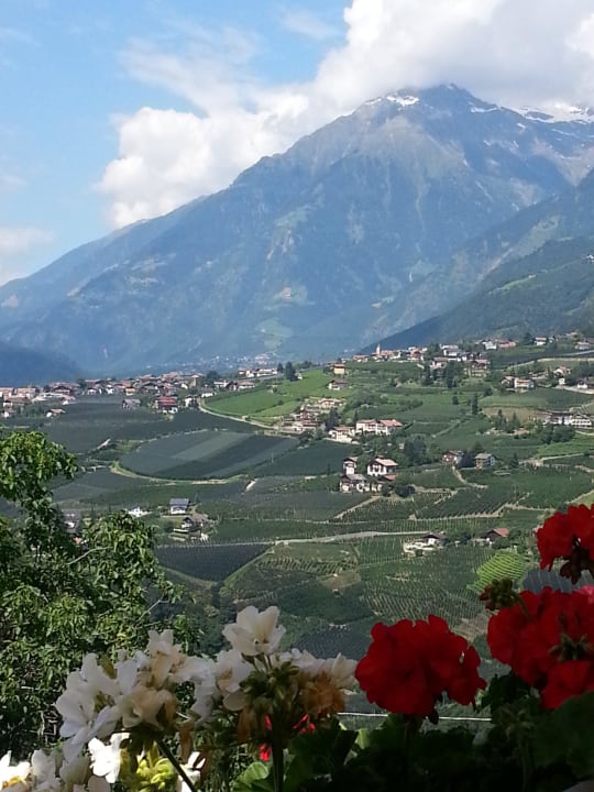 Panoramablick Hotel Astor