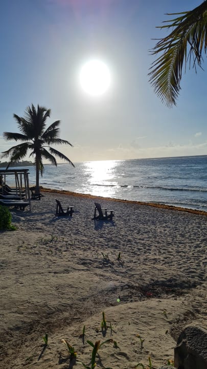 Strand Akumal Bay Beach & Wellness Resort