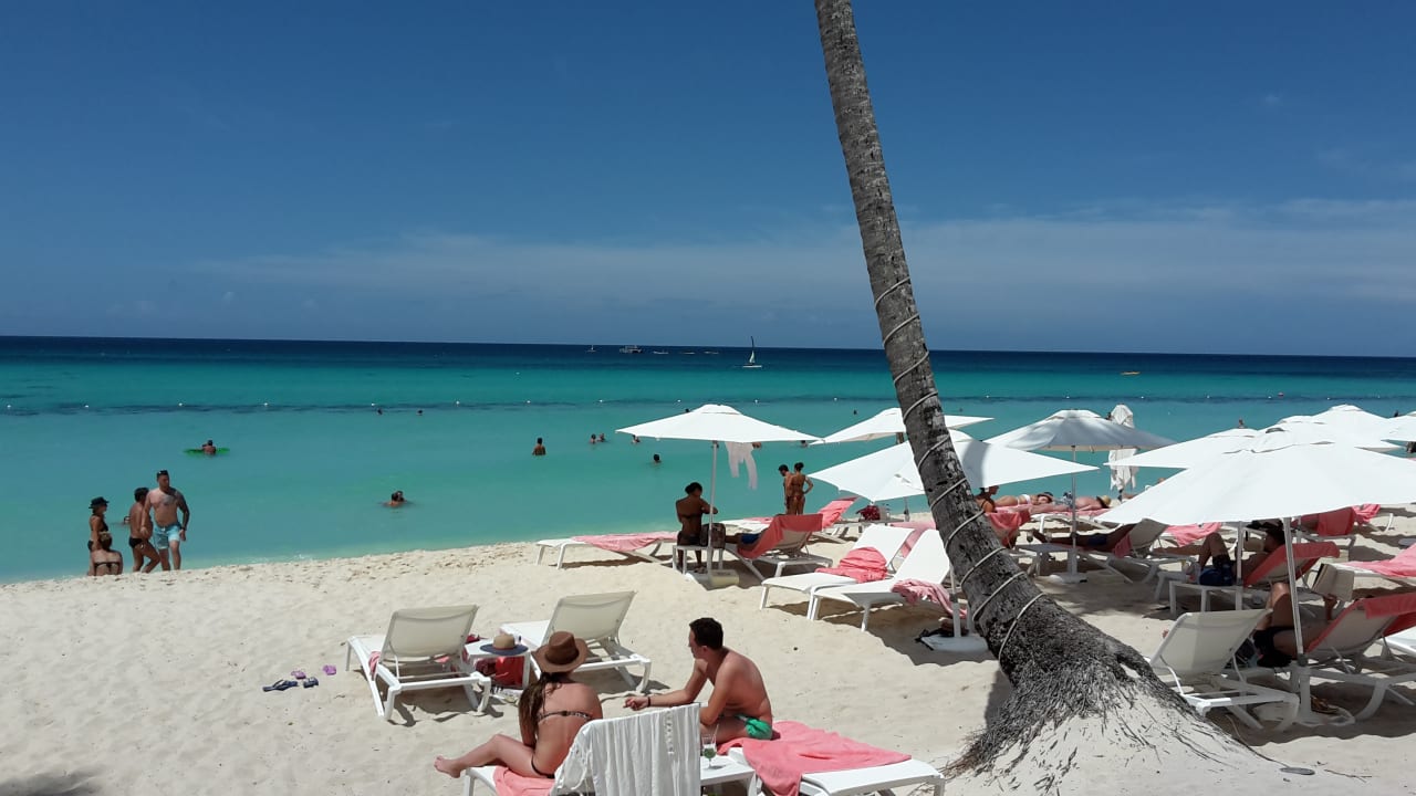 Strand Catalonia Royal La Romana - Adults only