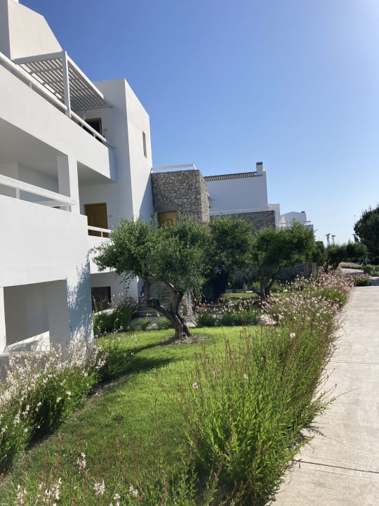 Gartenanlage Diamond Deluxe Hotel & SPA