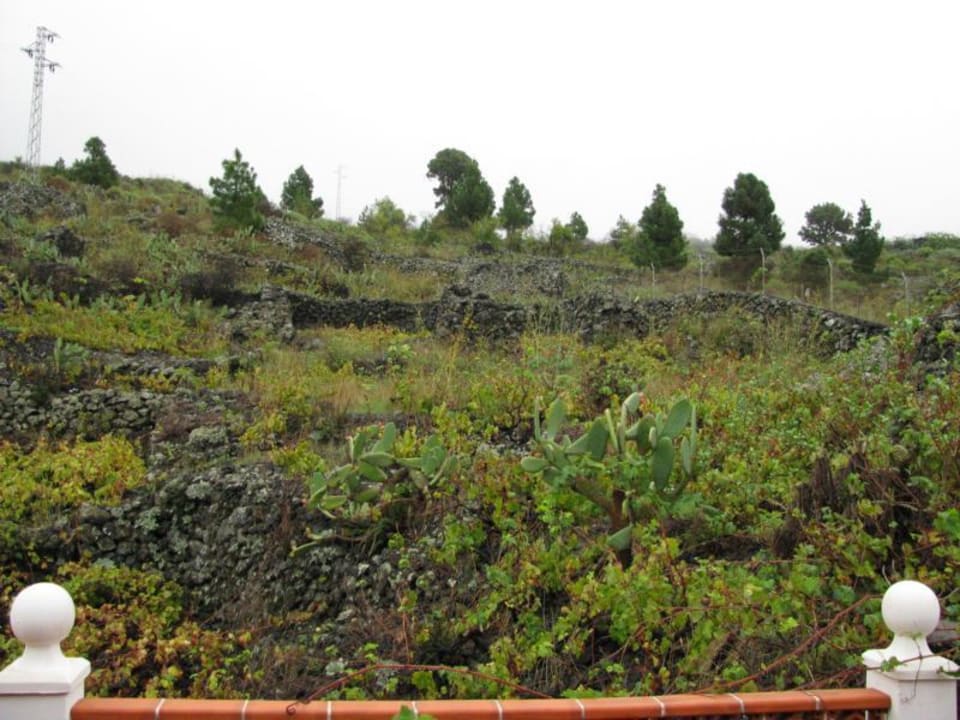 Garten Hotel Casa Roja