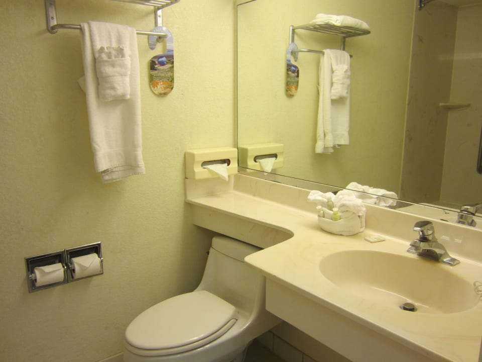 Bad Hotel Lake Tarpon Resort