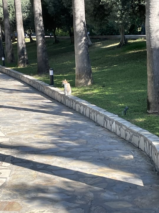 Gartenanlage Miramare Queen Hotel