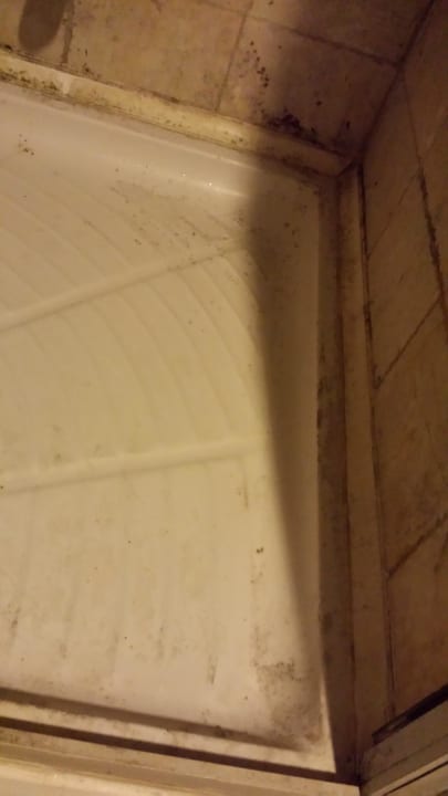 Dusche Saunabereich Side Alegria Hotel & Spa - Adults only +16