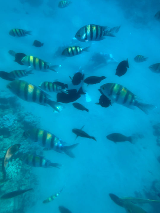 Strand Sentido Naga Bay