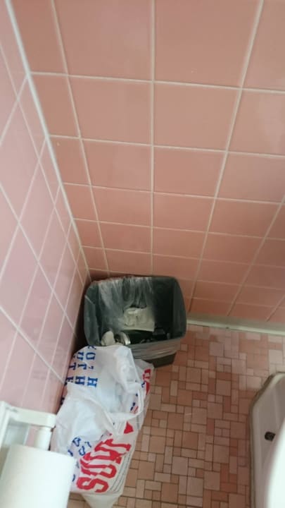 Ein kleiner Mülleimer für das komplette Zimmer Lorraine Hotel