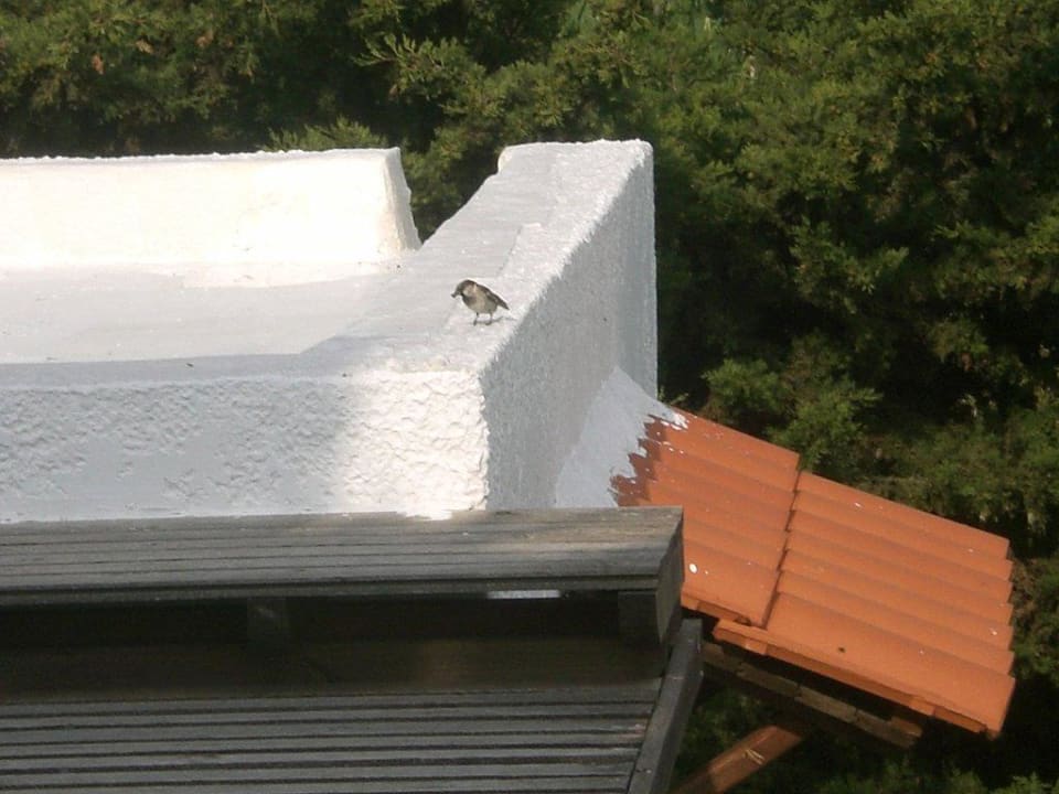 Blick auf den benachbarten Bungalow Gaia Garden Hotel