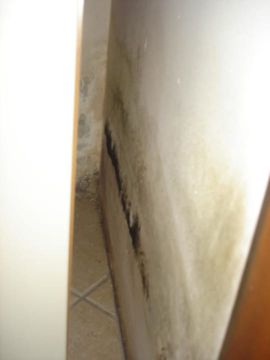 Schimmel im Flur Hotel Colombaro