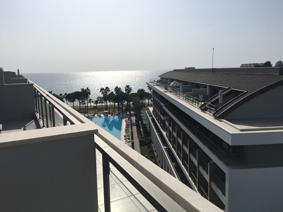 Zimmer Acanthus Cennet Barut Collection