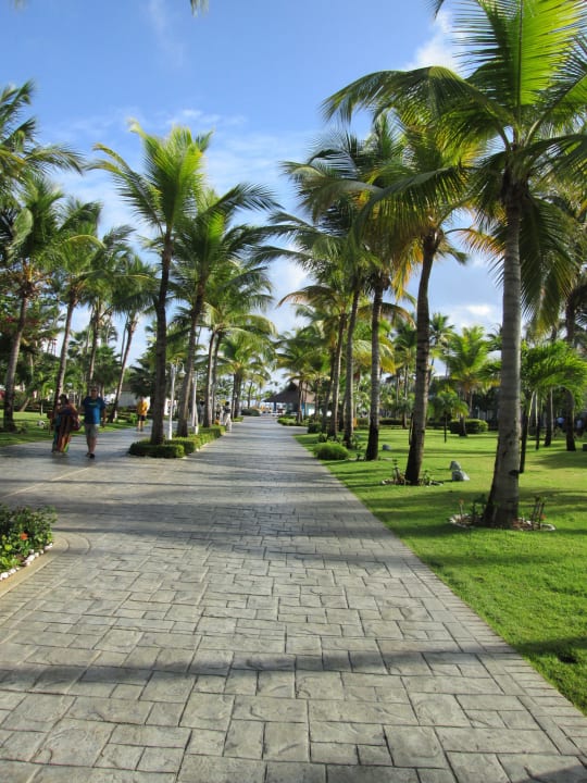Weg zum Pool und Strand Ocean Blue & Sand
