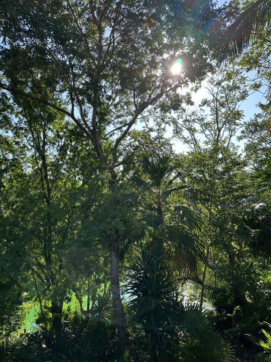 Gartenanlage Blue Diamond Luxury Boutique Hotel