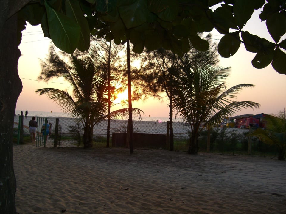 Zugang zum breiten Strand Hotel The Kenilworth Beach Resort