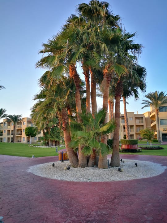 Gartenanlage Rixos Premium Seagate