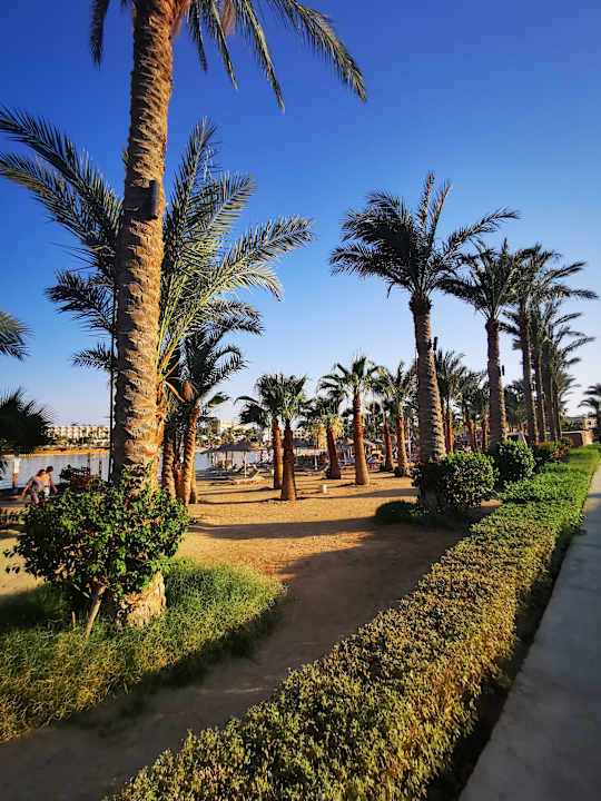 Gartenanlage Brayka Bay Resort