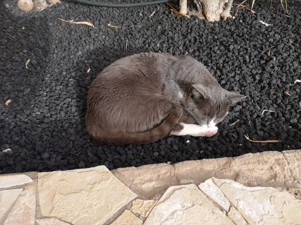 Sonstiges SBH Costa Calma Beach Resort