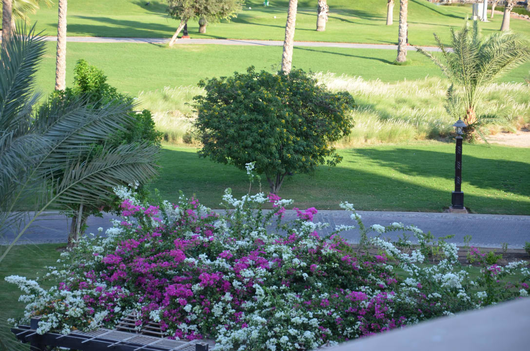 Garden Steigenberger ALDAU Beach Hotel