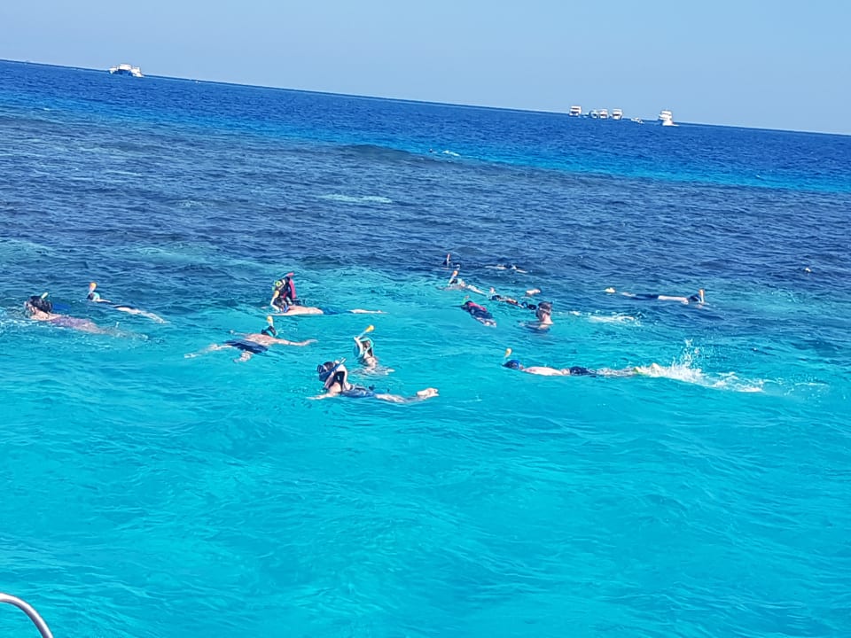 Schnorcheln  Bella Vista Resort Hurghada
