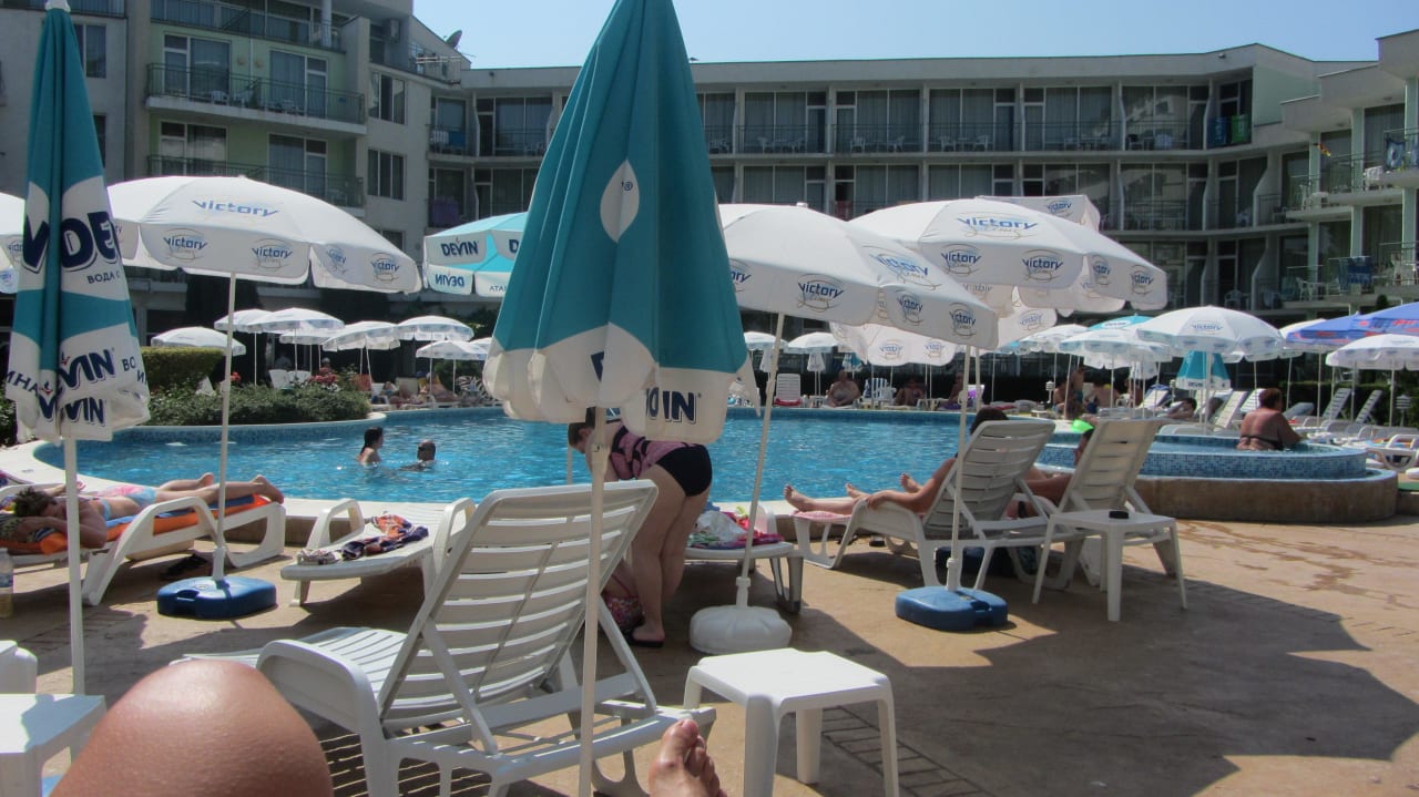 Pool Flamingo Beach Hotel
