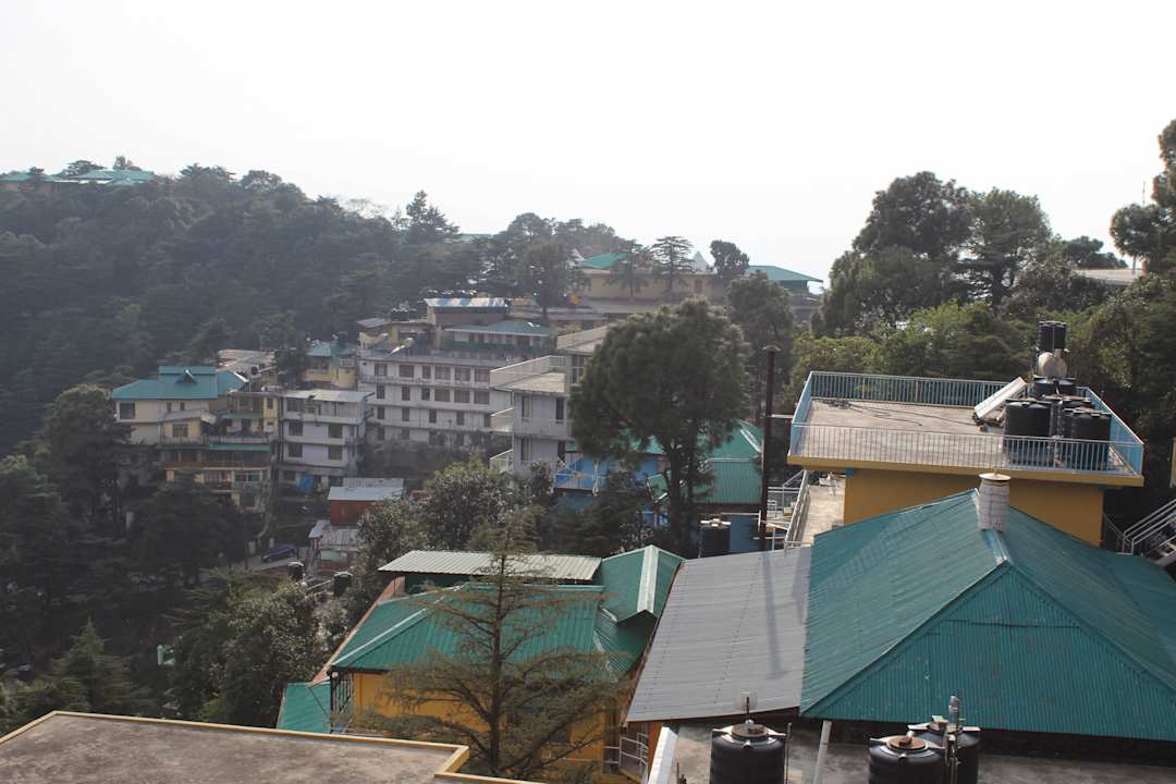 Tempel in Sichtweite Hotel Norbu House