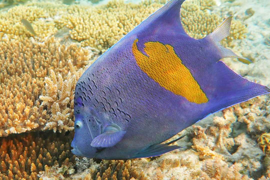 Strand Sunny Days El Palacio Resort & Spa