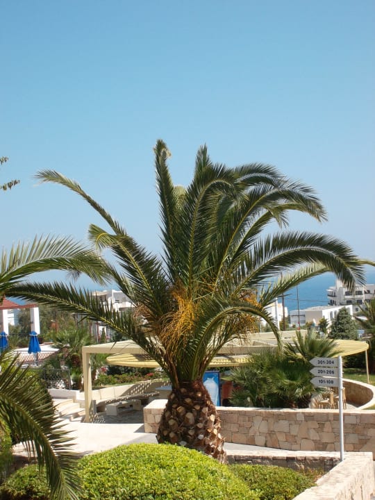 Richtung Poolbar Grand Hotel Holiday Resort