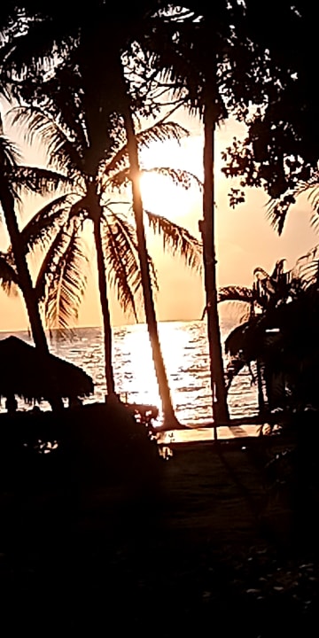 Ausblick Hotel Viva Dominicus Beach by Wyndham - All Inclusive Resort