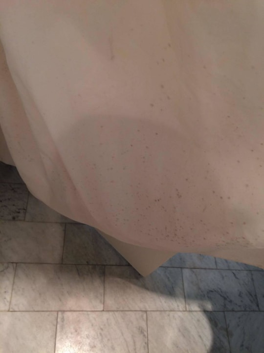 Schimmel am Duschvorhang. Laut Rezeption alles OK. Leonardo Royal Hotel Den Haag Promenade