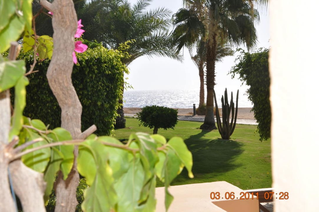 Gartenanlage Steigenberger Coraya Beach - Adults only