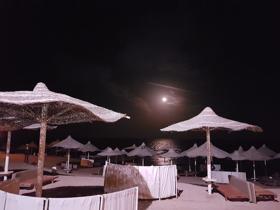 Strand bei Mondschein! Serenity Alpha Beach