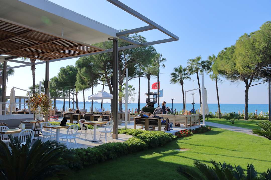 Gastro Acanthus Cennet Barut Collection