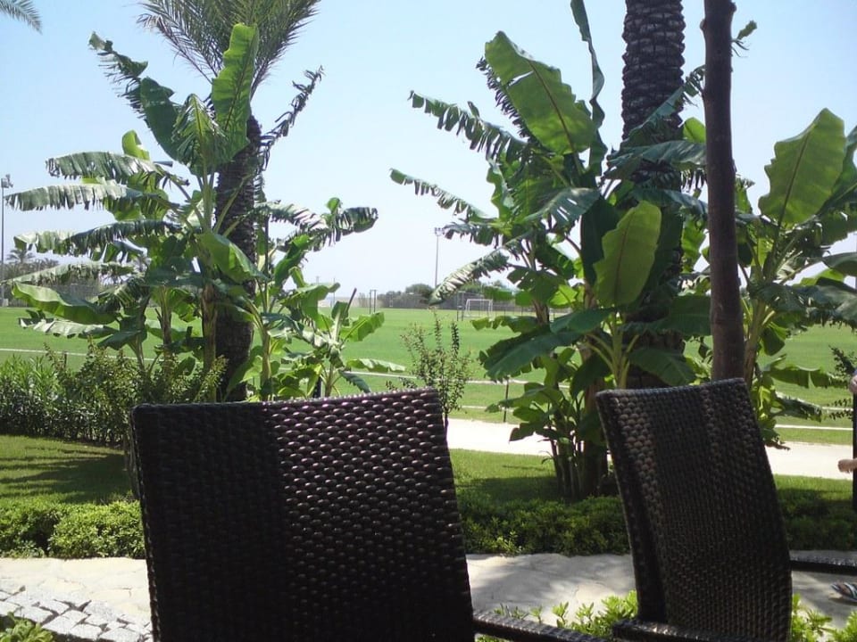 Zu Mittag Blue Waters Club