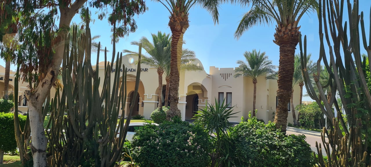 Gartenanlage Hotel JAZ Makadi Star & Spa