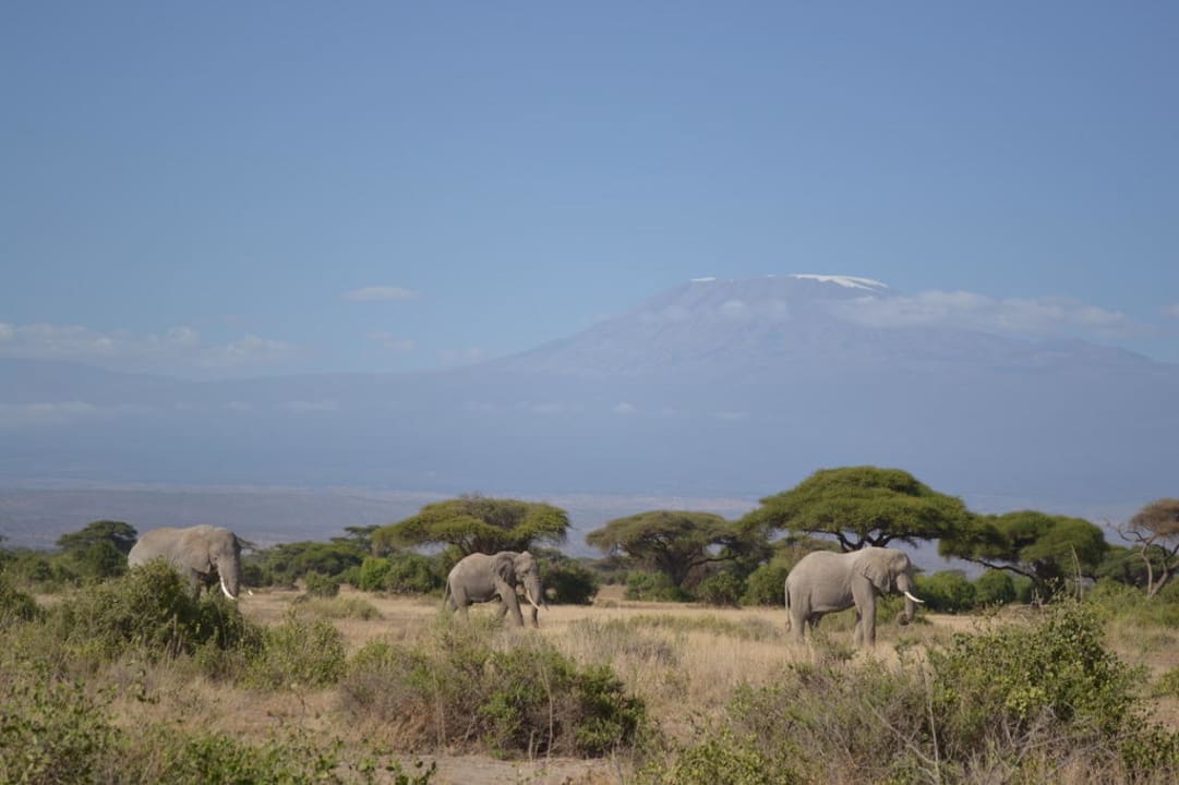 Noch mehr tolle Aussichten Ol Tukai Lodge