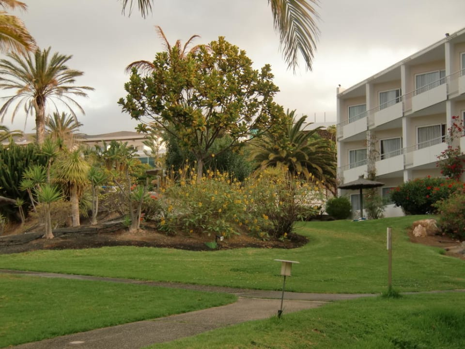 Palmengarten allsun App.-Hotel Esquinzo Beach
