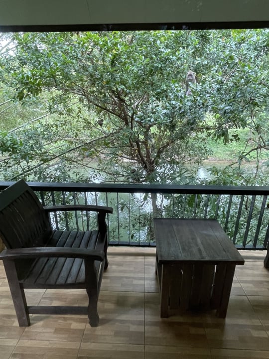 Ausblick The Bliss Khao Sok Boutique Lodge