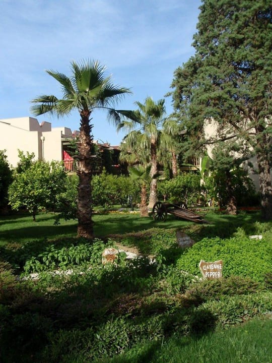 Kräutergarten Paloma Oceana