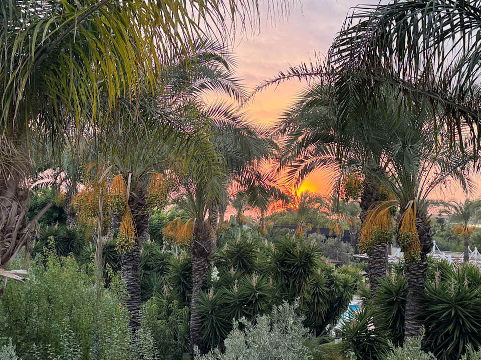 Gartenanlage Sunis Kumköy Beach Resort Hotel & Spa