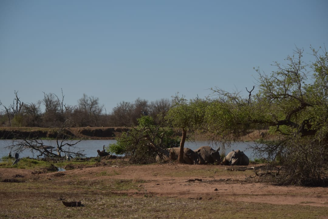 Ausblick Hlane Royal National Park