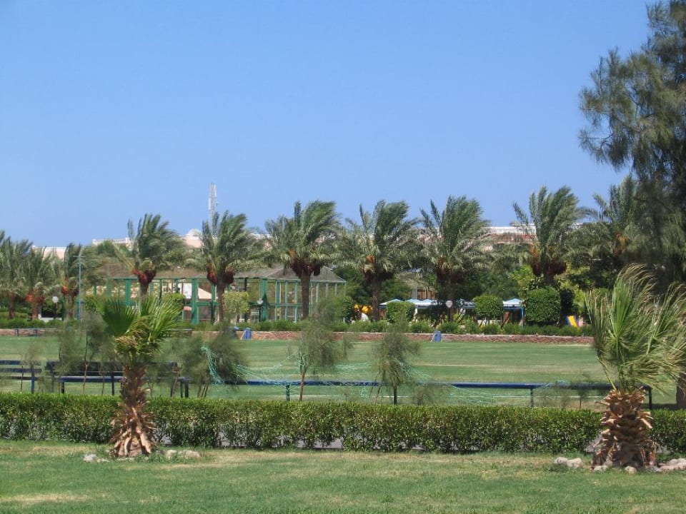 Primasol Beach Albatros Beach Albatros Resort