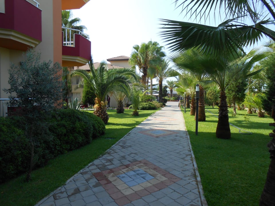 Aussenanlege des Hotels Hotel Orfeus Park