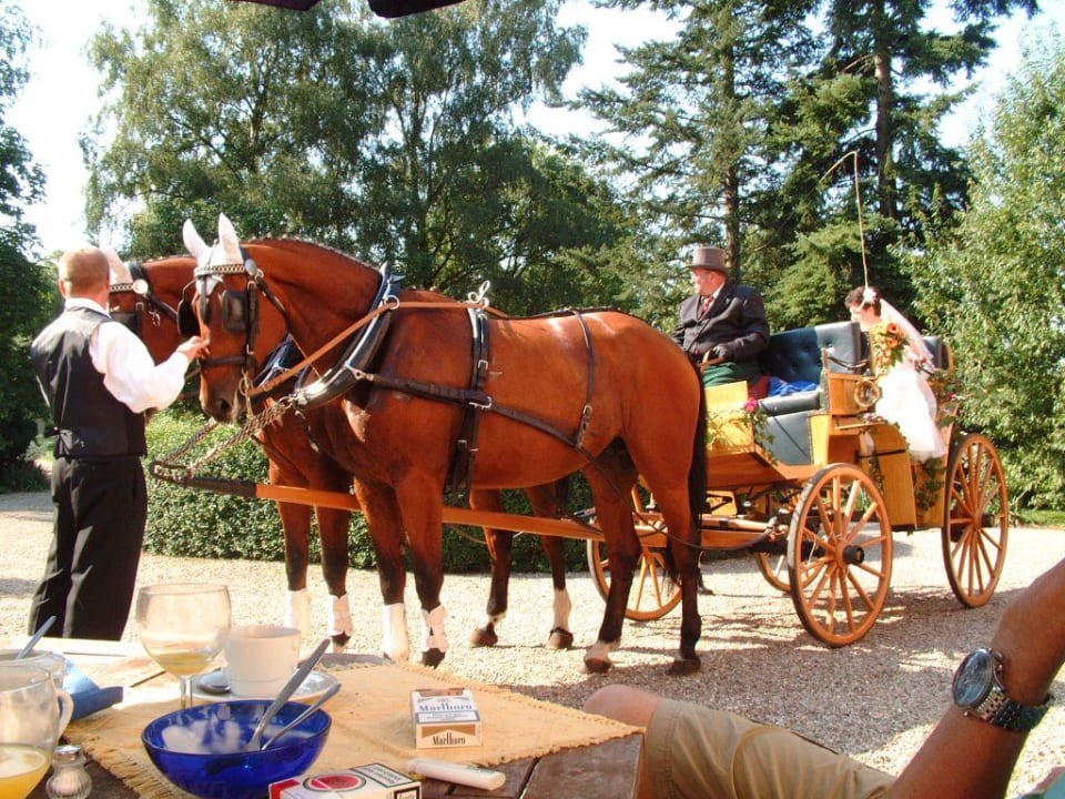 Hochzeitsgesellschaft im Hotel Hotel Schloss Frauenmark